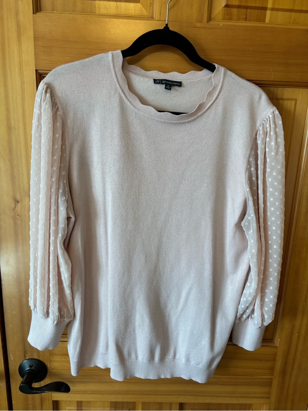 Adrianna Papell Blush Pink Sheer Sleeve with Swiss Dots Sweater